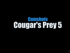 CUMSHOTS Cougar's Prey Volume 05 Scene 6