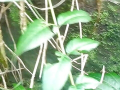 Pee in the Garden Solo