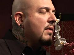 Anal, Gros seins, Nénés