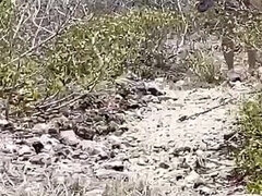 18, 해변, 오랄섹스, 영국인, 커플, 나체주의자, 청소년