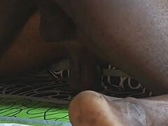 Amatéři, Anál, Černé, Kuřba, Pár, Táta, Honění