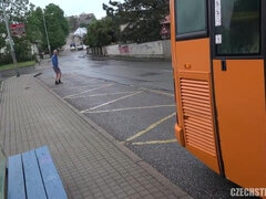 České, Honění, Hardcore, Latinské, Drobounká, Různé pohledy