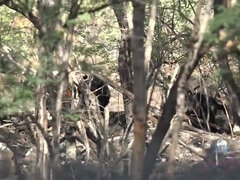 Amatőr, Strand, Hatalmas hátsó, Gesztenyebarna, Hd, Pisi szex, Nézőpont