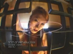 アジア人, コンピレーション, 日本人