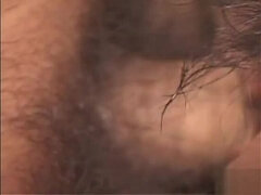 Ázsiai, Ondó fröcskölés, Ujjazás, Csoport, Japán, Érett koros, Hármas, Játékszerek