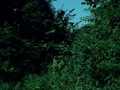 Amador amadora, Alemãoã, Hardcore, Xoxota, Adolescente, Tetas, Vintage