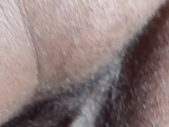 Asshole Worship Hallelujah Johnson (You Must Wanted To Smell My Nuts)