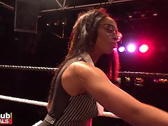 Velké kozy, Černé, Britské, Puma, Ebenové, Dospělé, Zrzavé, Wrestling