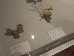 Amatéři, Brýle, Latinské, Vyholené, Vyhublá, Sukně, Ponožky, Punčochy