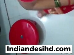 Desi Indian sex Video