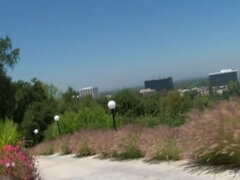 Analno, Velike joške, Blondinka, Zunanji izliv, Obrazno