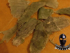 Bdsm, Femdom, Trest, Otrok