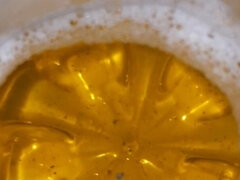 아마추어, 집에서 만든, 싸움, 혼자