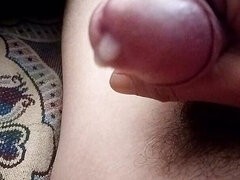 Szőrös, Indiai, Maszti, Szabadban, Nézőpont