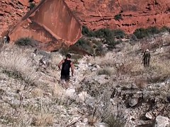 Sportzaal, Masturbatie, Spier, Sportoefening