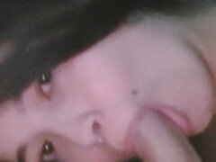 The Affection From Last Night I Forgot to Post