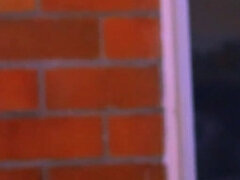 Amatööri, Iso perse, Tyttöystävä, Latinankieli, Sukat