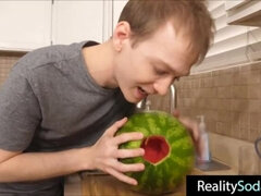 Družina, Smešno, Hardcore, Muco, Sestra, Tabu