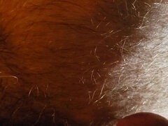 Anal, Boquete, Peludoa