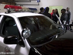 Zadek, Kuřba, Bukkake, Mezirasové, Pička, Teenka, Kozičky