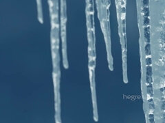 18 let, Exhibicionisti, Na veřejnosti, Sólo, Teenka