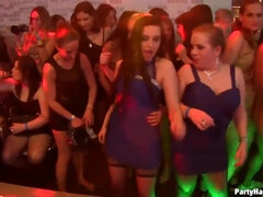 at the hard core coition party - orgy mating