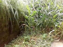 Priyanshu Urinated on the Wall of Randi's House