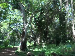 Riley is happy to see a real rainforest!