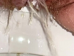 Amateur, Belle grosse femme bgf, Poilue, Pisser, Toilettes