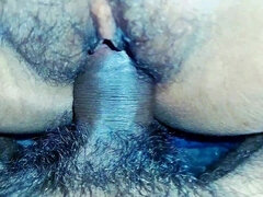 Amatööri, Pariskunta, Kermakakku, Pillu