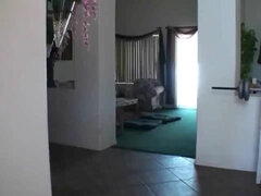 Amatéři, Bdsm, Macaté, Creampie, Stříkání spermatu, Péro, Homemade, Mezirasové