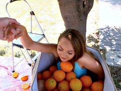 Stor stjärt, Sammanställning, Creampie, Naturliga tuttar, Porrstjärnor, Tuttar