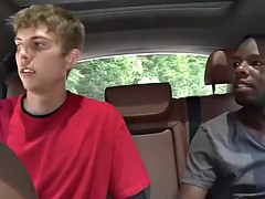 Velké péro, Černé, Ebenové, Gay, Mezirasové