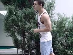 Popó, Monumentális dákó, Tekintélyes didik, Szőke, Gesztenyebarna, Anyuci, Tetkó, Begyek