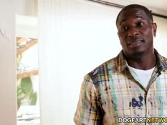 Velké péro, Černé, Péro, Mezirasové, Latinské, Jezdectví, Sprcha, Polykání