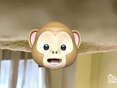 18 let, Amatéři, Velký zadek, Blondýna, Hd, Masturbace, Sólo, Hračky