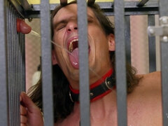 Anál, Zadek, Boty, Nohy, Dávení, Krátké vlasy, Sprcha, Hračky