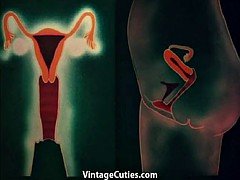 Anatomic Sex in Dissimilar Places (1960s Vintage)