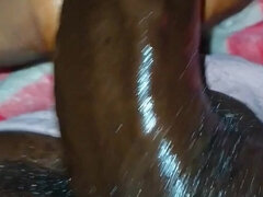 Amateur, Americano, Pajear, Solo