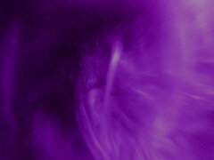 Culo grosso, Grande cazzo, Tettona, Hardcore, Mamma che vorrei scoparmi, Realtà, Scambisti, Terzetto