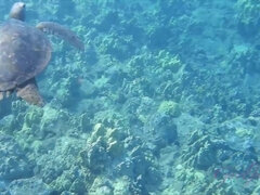 Pompino, Sborrata, Toccando, Sfavillanti, Olio, Orgasmo, Punto di vista pov, Fumando   smoking