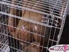 Anal, Masturbação, Lésbica, Sexo grupal a três, Brinquedos, Vintage