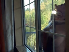 Kandace Kayne & Ryan Madison in Morning Joe 2 - Big Tits, Creampie, Outdoor