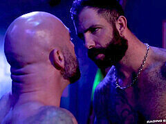 Anaal, Homo, Spier