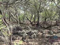 Ερασιτέχνης, Παραλία, Επίδειξη, Η κοπέλα μου, Εκτός, Πρώτου προσώπου, Κάπνισμα, Υγρό