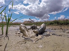 Extreme mud bath with head dunks, summer 2020