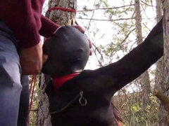 Tied To A Tree On A Sensual Outfit, Masked And Outdoor Deepthroating With No Mercy - Oral Sex