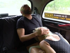 Kotě, Blondýna, Auto, Na pejska, Hd, Různé pohledy, Teenka