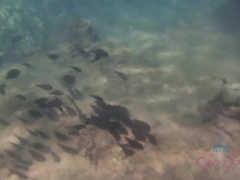 Playa, Morena, Vestido, Novia, Pequeña, Coño, Afeitado, Fumando