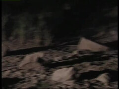 Isot tissit, Kummallinen, Blondi, Suihinotto, Rankka, Orgasmi, Pillu, Tissit